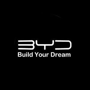 BYD logo pudding light